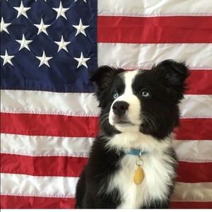 Meet your Posher, Daphne